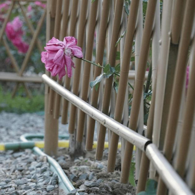 bamboo garden fence
