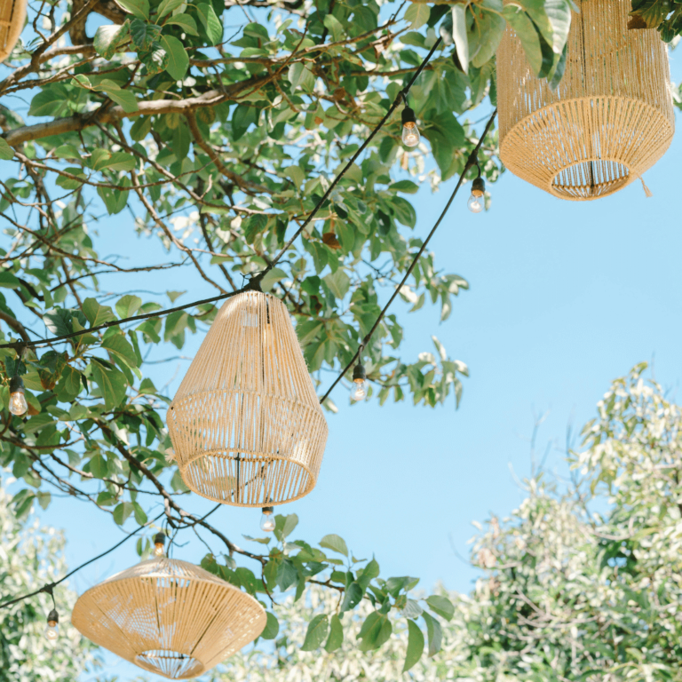 bamboo lanterns in tree