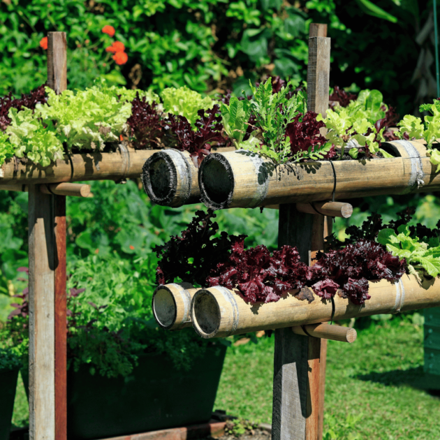 bamboo garden beds