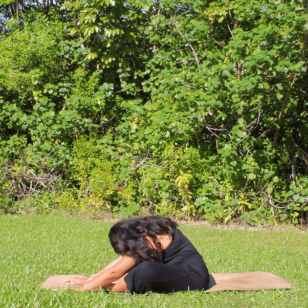 seated forward fold