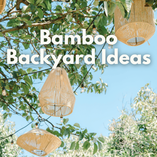 bamboo backyard ideas