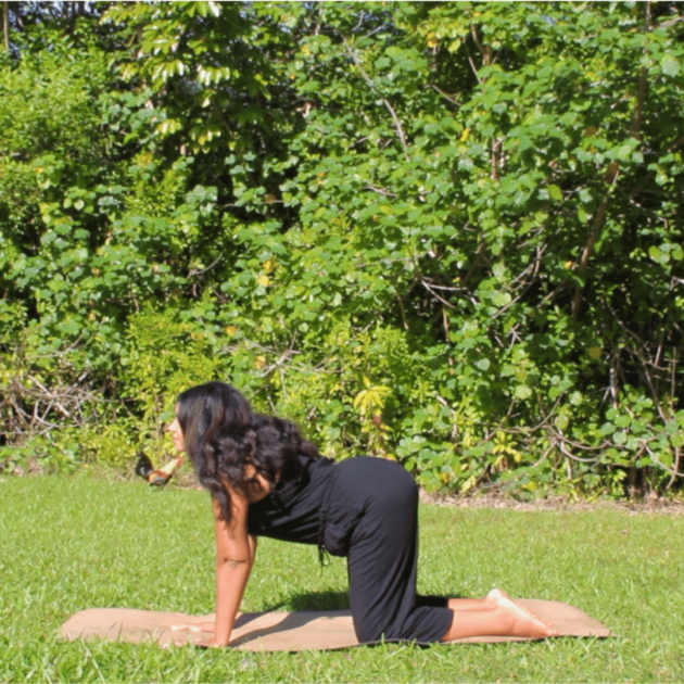 cow pose