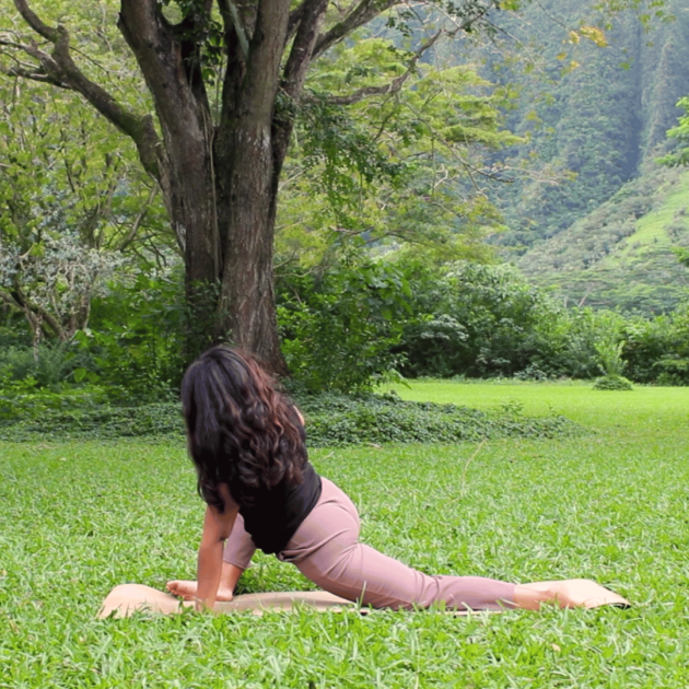 lizard pose