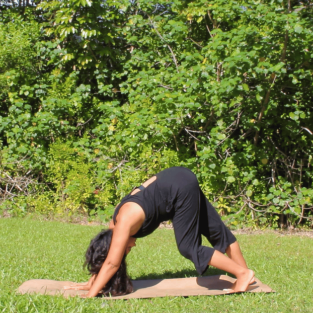 down dog pose