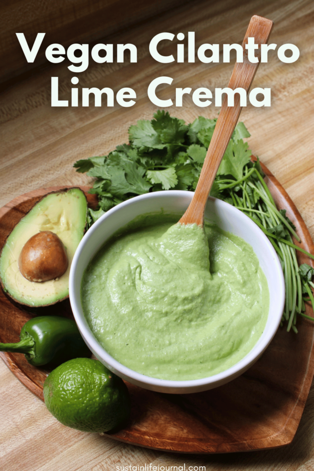 a bowl of no mayo dipping sauce