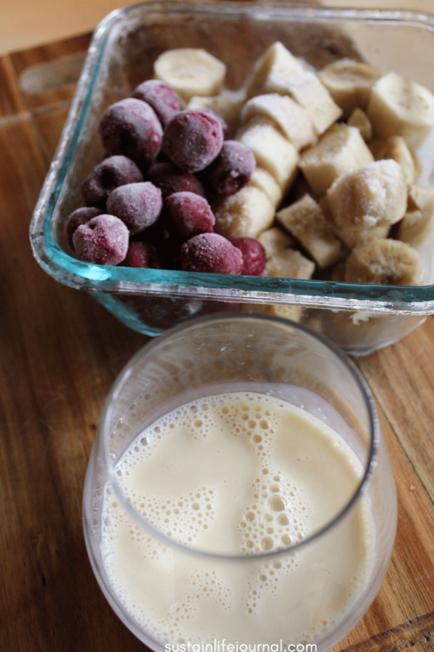 frozen fruit and oat milk for dairy free ice cream