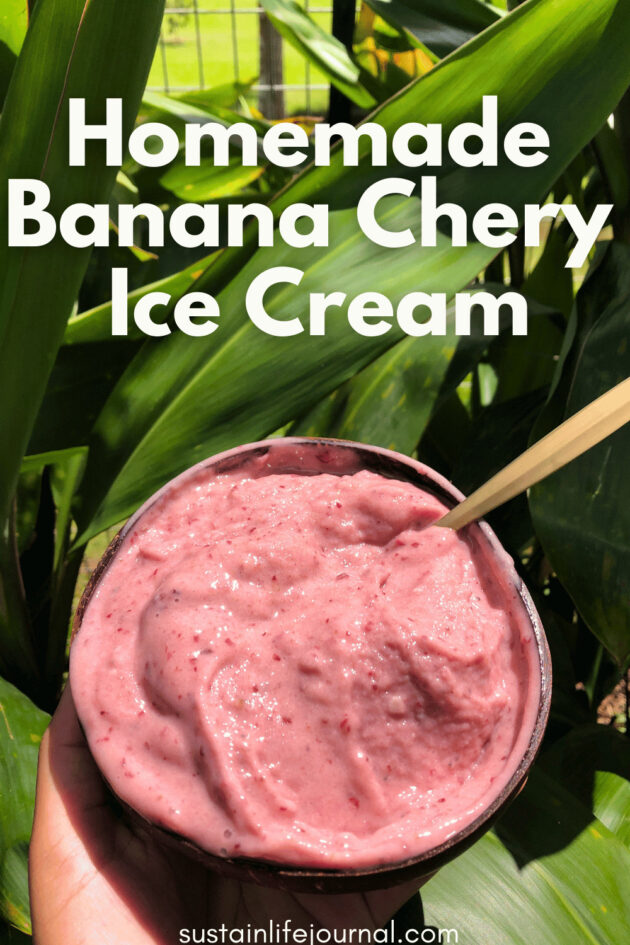 homemade banana cherry ice cream