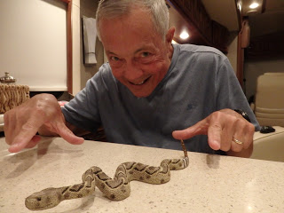 ty with snake