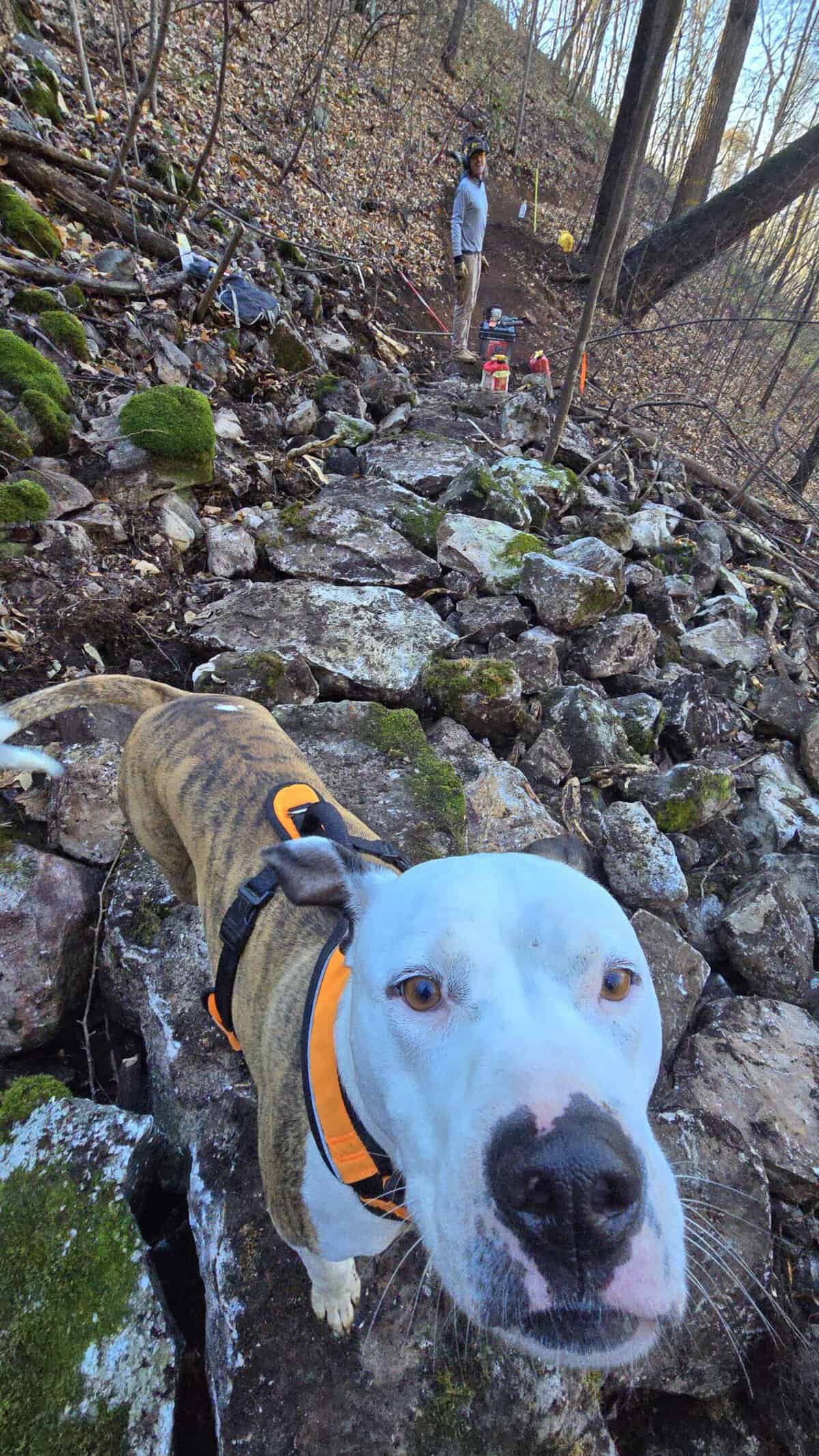 New trail construction at Seven Bends State Park