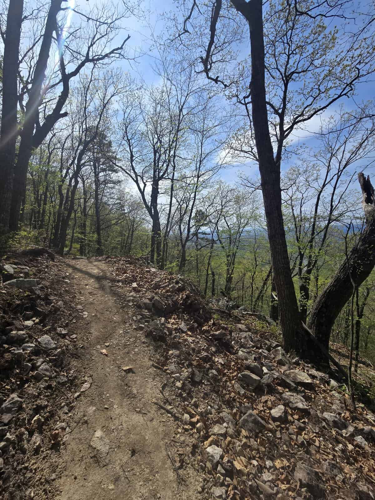 Finished Seven Bends trail through the forest