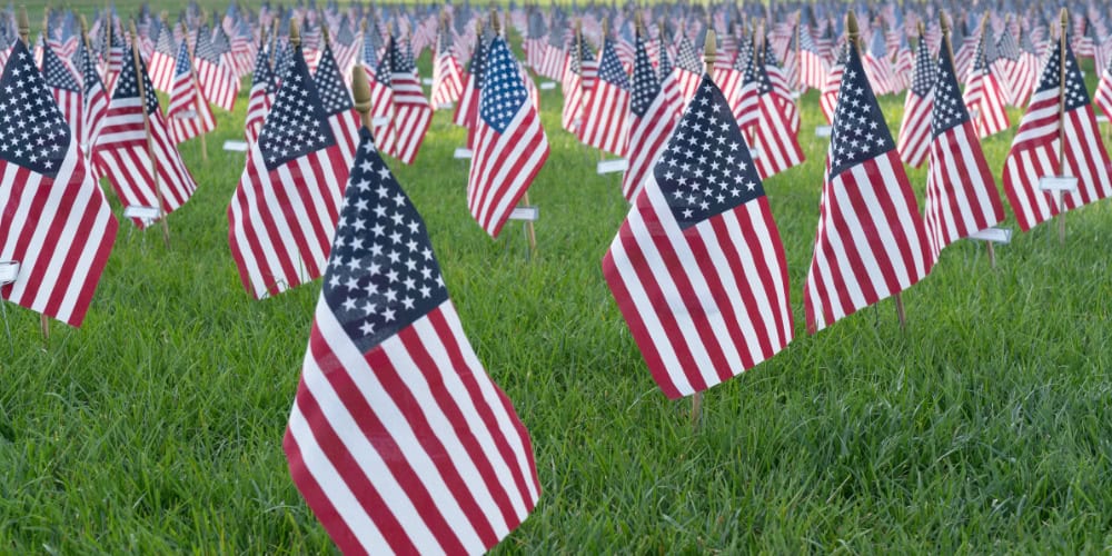 small american flags