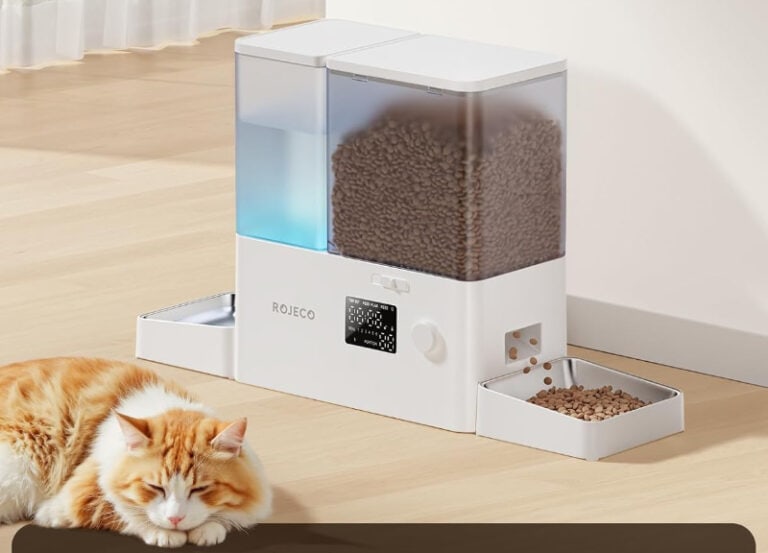 Automatic pet feeder with sleeping cat nearby