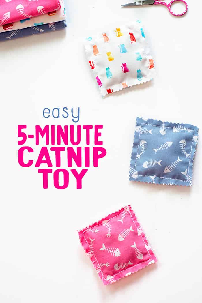 5 minute catnip toy