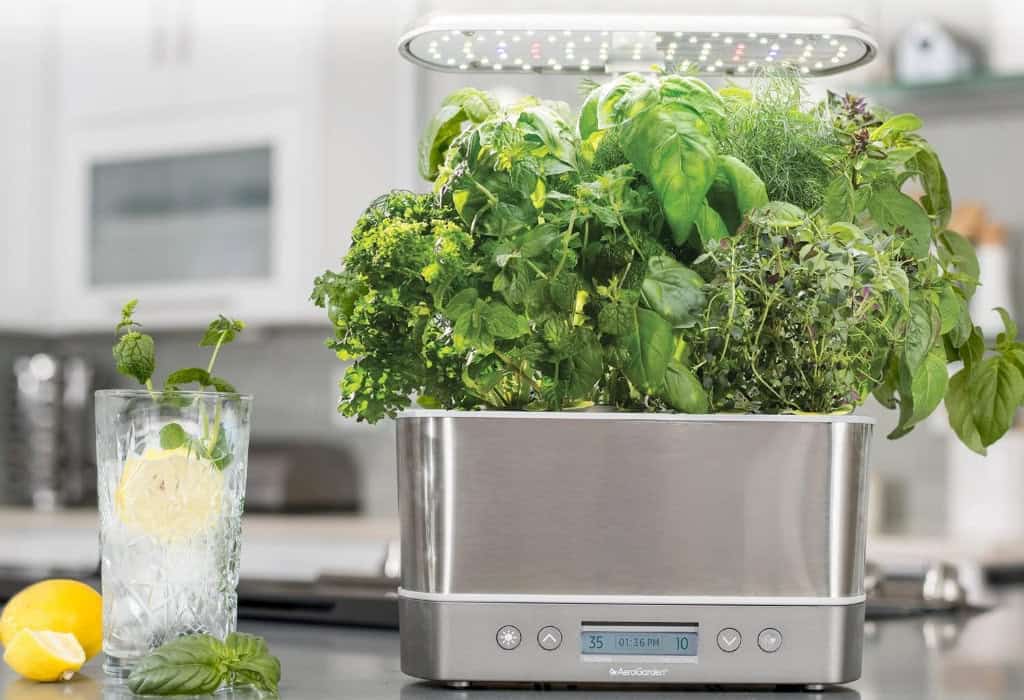 Indoor herb garden with grow light on kitchen counter.
