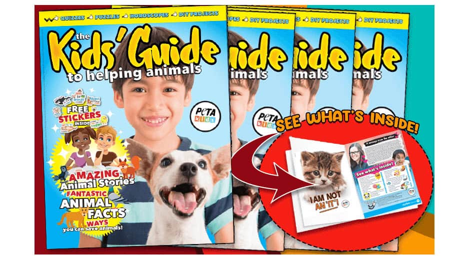 kids guide to helping animals