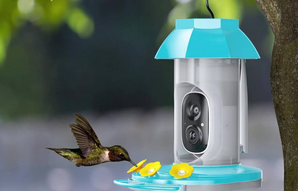 Hummingbird feeding at a smart bird feeder camera.