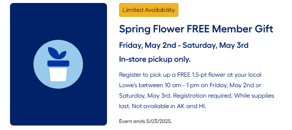 Spring Flower Free Member Gift, Limited Availability