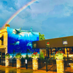 Sybergs Gravois