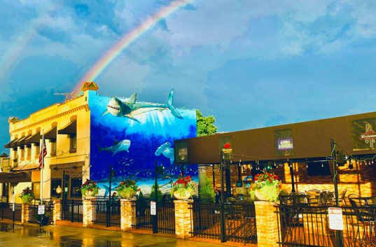 Sybergs Gravois