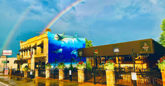 Sybergs Gravois