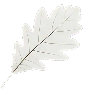 Silver metallic leaf with intricate veins