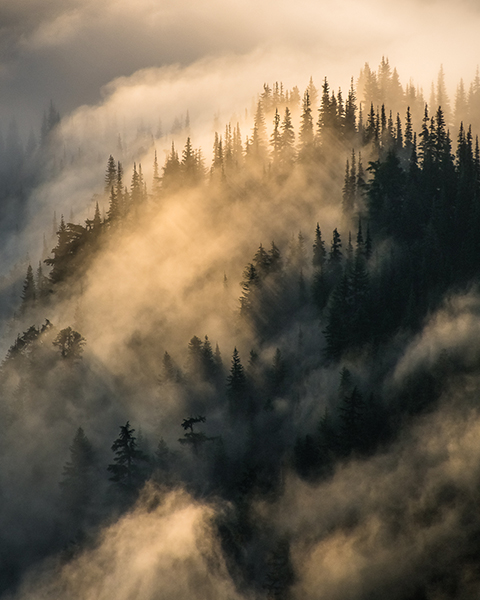 © Jake Gosline