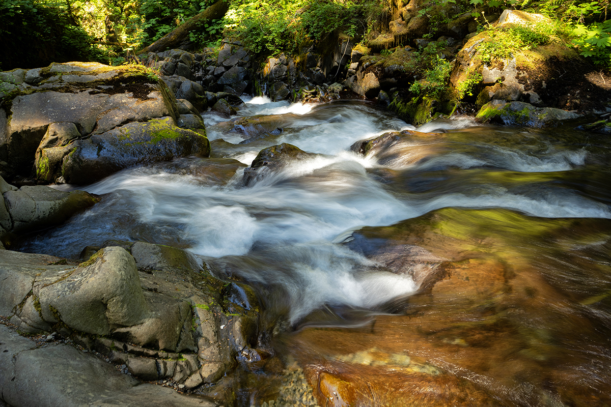 Una foto de larga exposición de un arroyo del bosque fotografiando agua en movimiento sobre rocas musgosas, creando un suave y onírico desenfoque que muestra la dirección del flujo del agua.