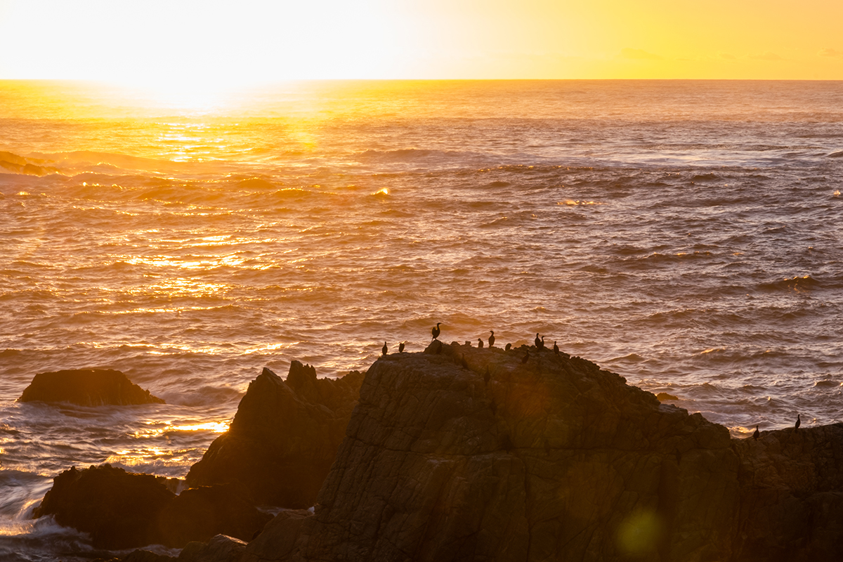 Rocky outcrop with birds silhouetted at golden hour during sunset, overlooking shimmering ocean waves &mdash; ideal scene for beach sunset photography tips.