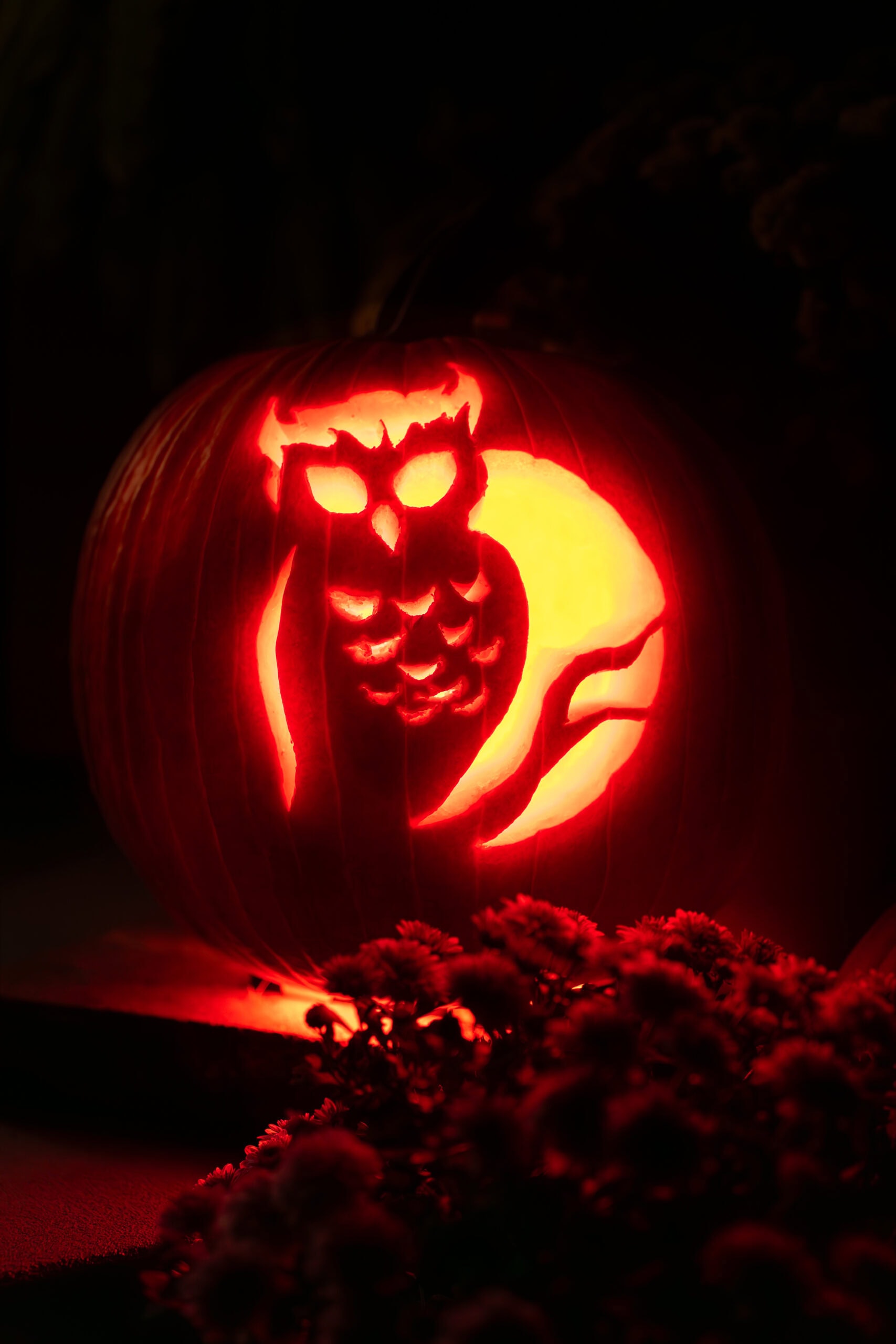 Photographing jack o&rsquo;lanterns at night &mdash; intricately carved owl design glowing from within, surrounded by fall flowers in low light. &copy;Felipe Prieto