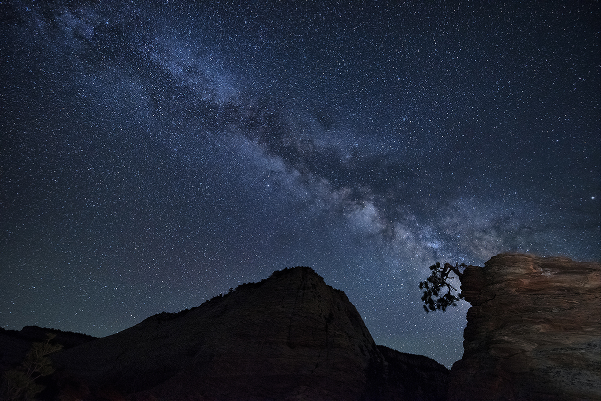 Milky Way arching over rugged cliffs and a lone pine tree at night, illustrating night sky photography tips for foreground framing and star detail.