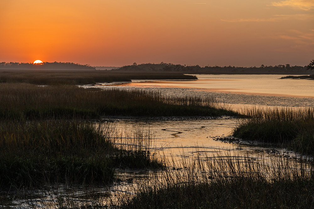 Golden sunset over a coastal marshland with reflective waters and textured grasses, demonstrating the Tamron 35-150mm F2-2.8 lens&rsquo;s dynamic range and sharpness in low-angle light during this hands-on review.