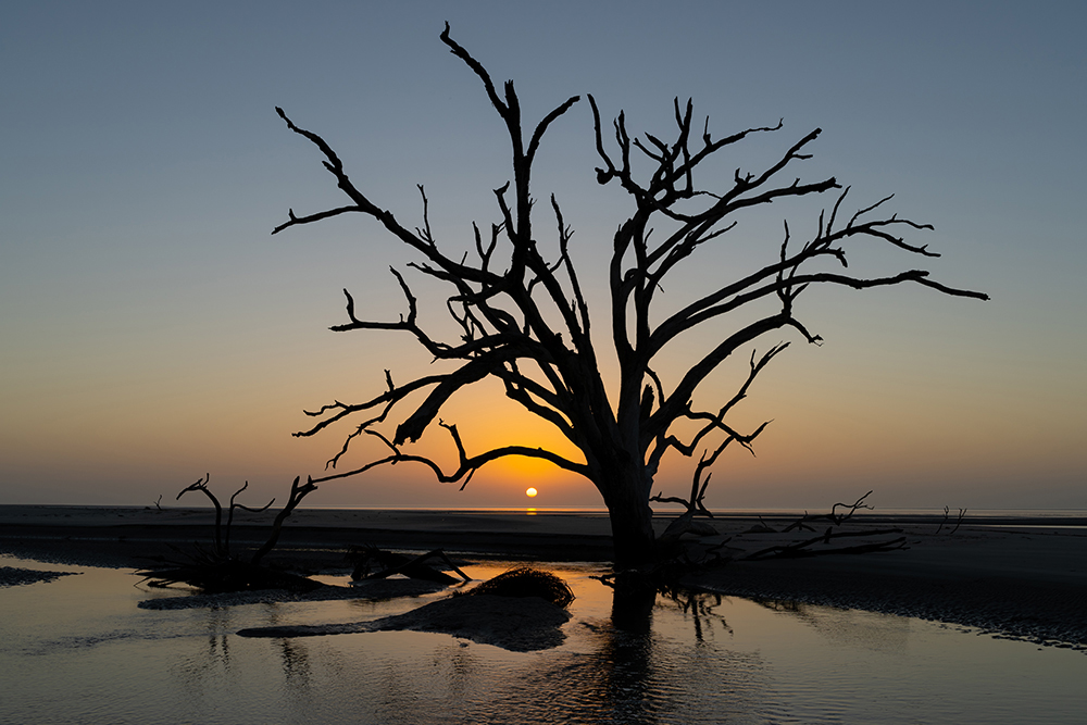 Silhouetted driftwood tree at sunset on Ossabaw Island, with vivid color gradients and sharp detail captured using the Tamron 35-150mm F2-2.8&mdash;highlighting low-light performance in this hands-on lens review.