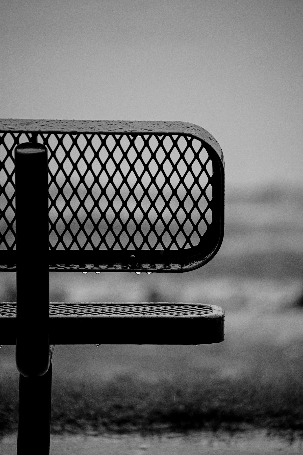 Exemple de photographie en noir et blanc montrant un banc de parc métallique avec des gouttes de pluie s'accrochant aux bords inférieurs de l'assise et du dossier.