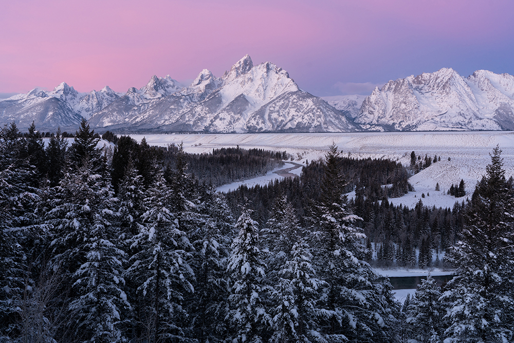 Snow-covered pines lead to the distant Grand Tetons at sunrise, captured with stunning clarity and soft pastel tones using the Tamron 35-150mm F2-2.8&mdash;showcasing the lens's performance in this real-world review.