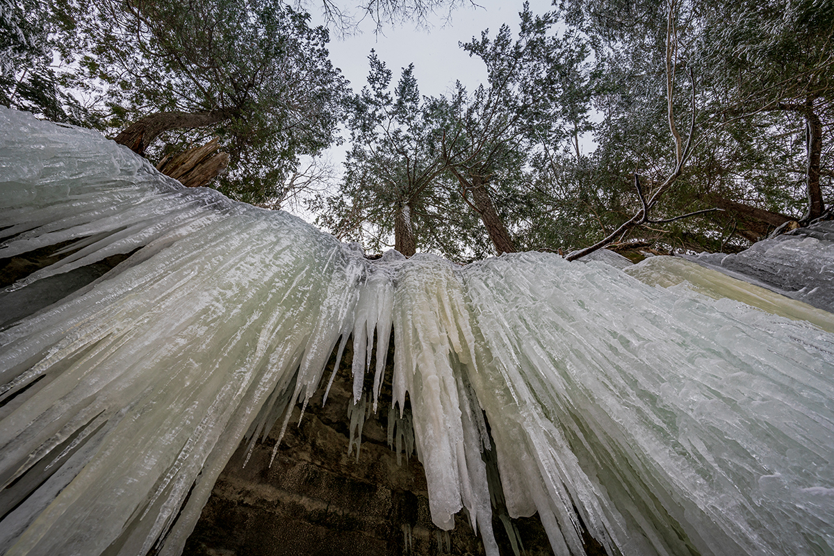 Vista de cima de enormes pingentes de gelo pendurados em uma saliência rochosa, emoldurados por altas árvores perenes em um céu de inverno.
