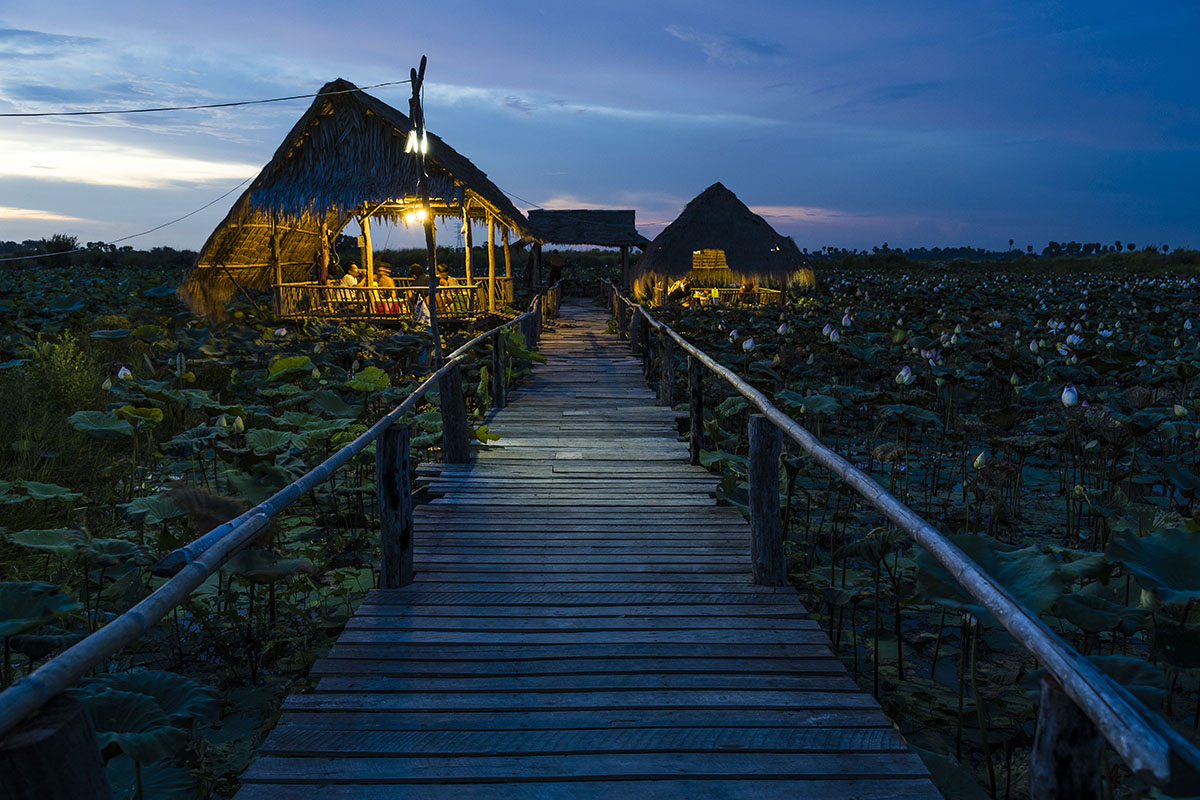 Evening scene of a wooden boardwalk leading to a warmly lit thatched hut surrounded by water lilies&mdash;captured in low light to showcase the capabilities of a fast aperture lens.