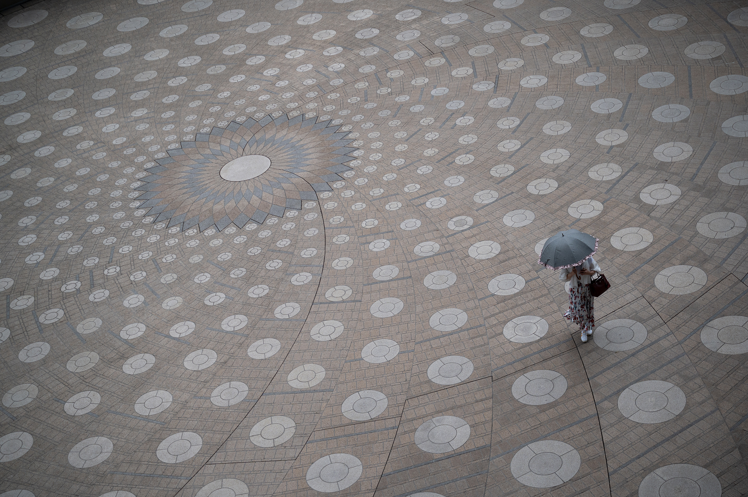 <p>Focale : 70mm Exposition : F/5.0 1/1250sec ISO 800</p>