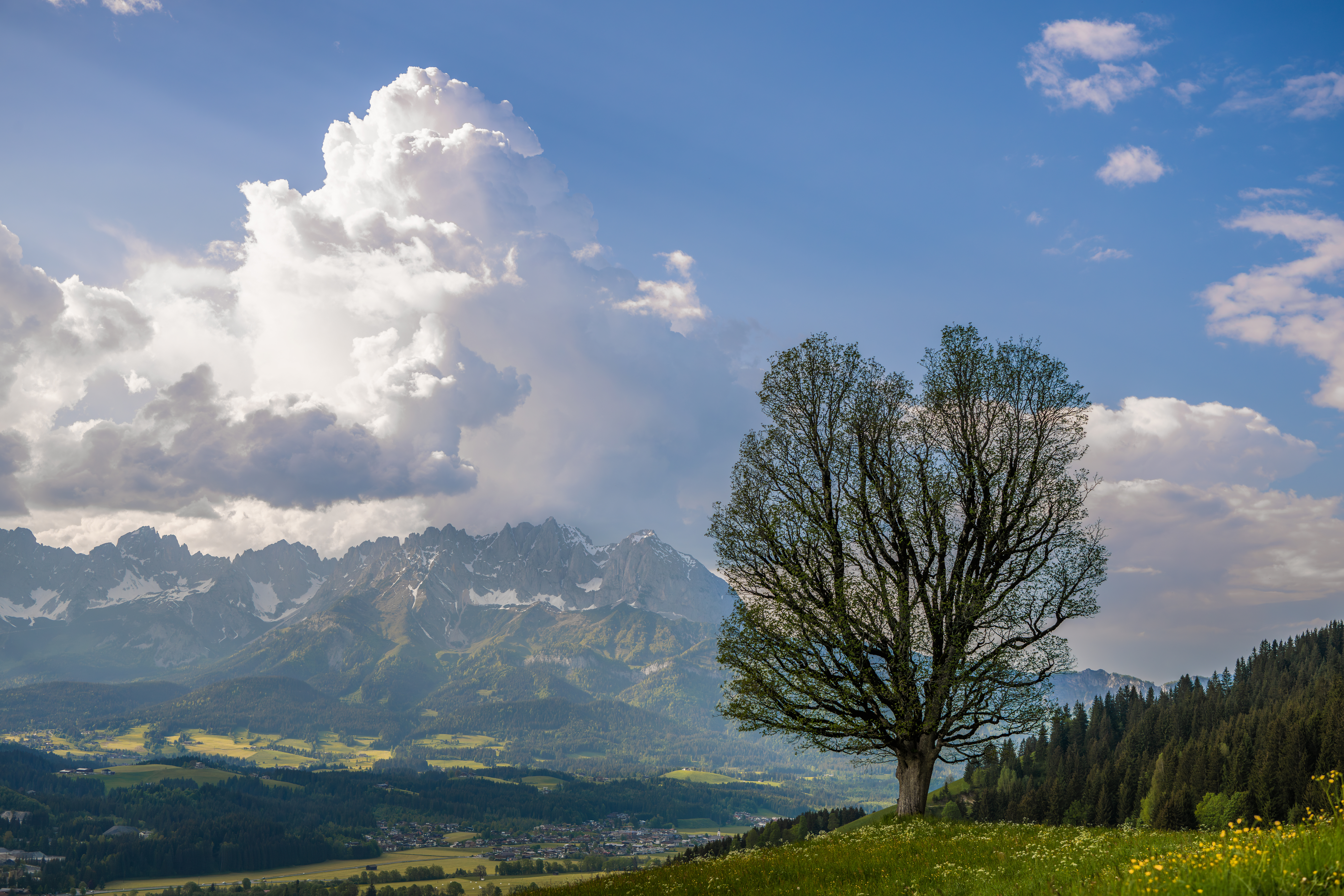 <p>Focal length : 39mm<br />
Exposure : F/2.8, 1/2500 sec, ISO 100<br />
Camera : Nikon Z 8</p>
