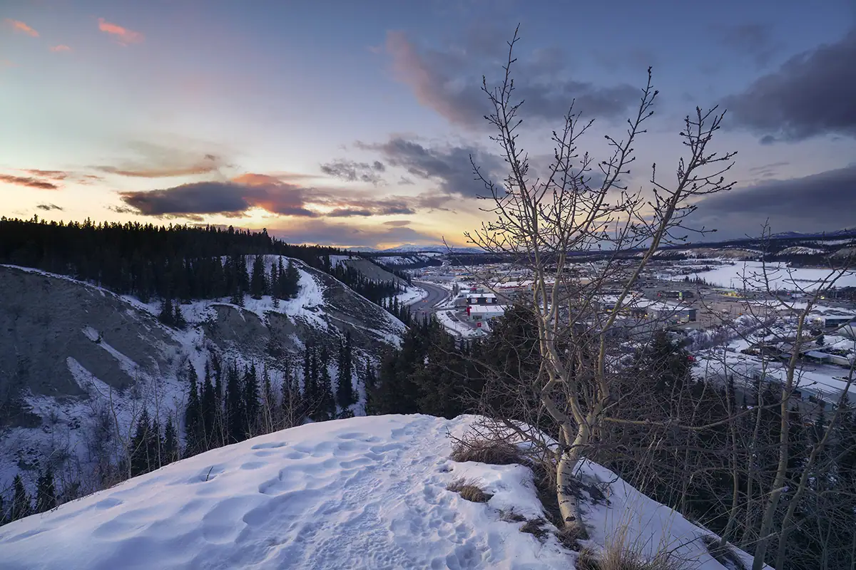 Snow-capped mountain with tree overlooking a village at sunrise.