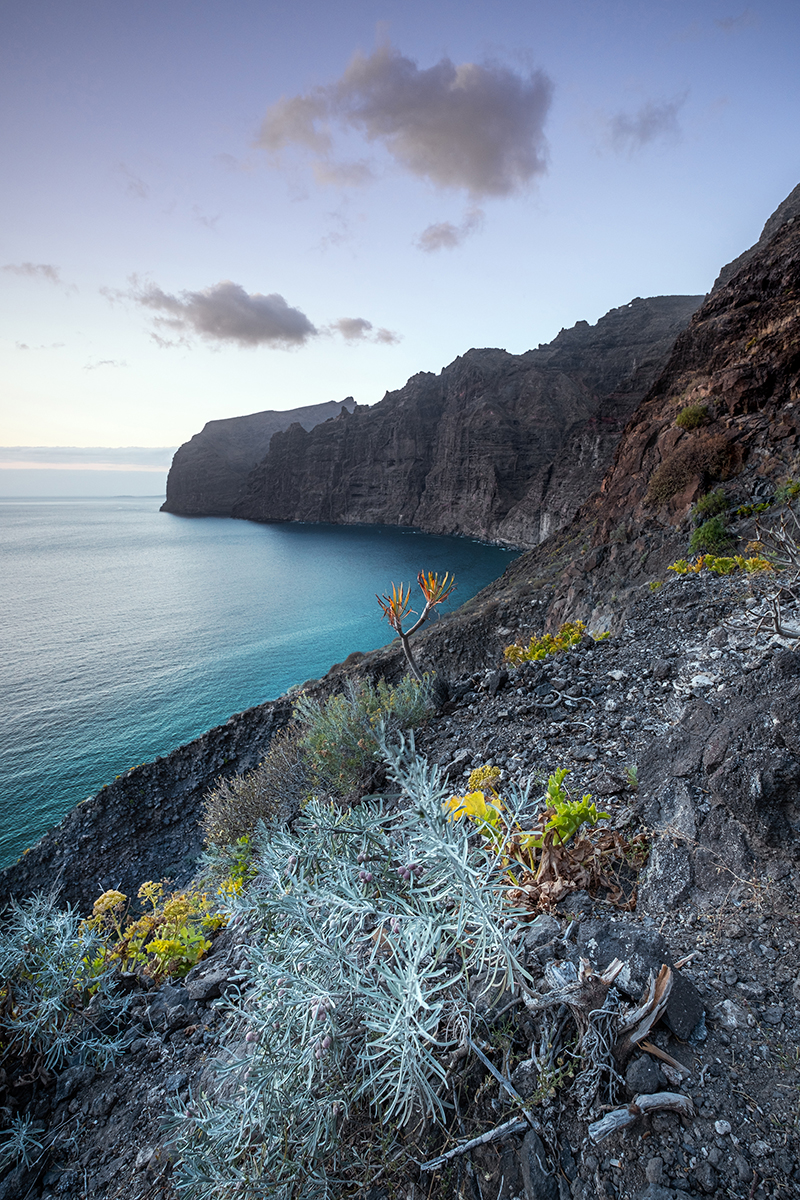 <p>Distancia focal : 11mm<br /> Exposici&oacute;n : F/10, 1/3 seg, ISO 125</p>
