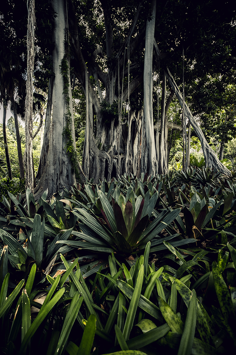 <p>Distancia focal : 11mm<br /> Exposici&oacute;n : F/2.8, 1/200 seg, ISO 200</p>