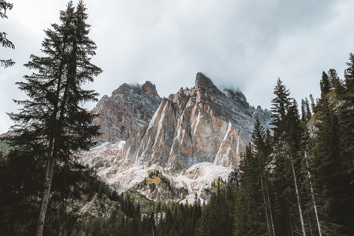 Picos de montanhas dramáticos cobertos de neve e emoldurados por altas árvores sempre verdes sob um céu nublado nas Dolomitas.