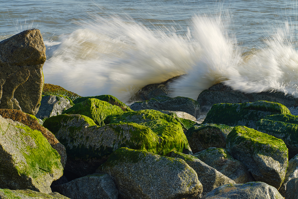 <p>Distancia focal : 116mm Exposici&oacute;n : F/20 1/30seg ISO 50</p>