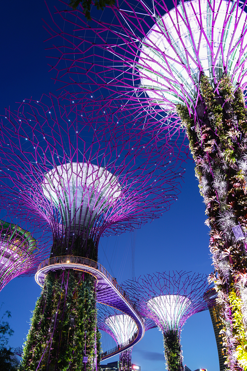 <p>Longitud focal : 28mm Exposici&oacute;n : F/5.6 3.2sec ISO 100</p>