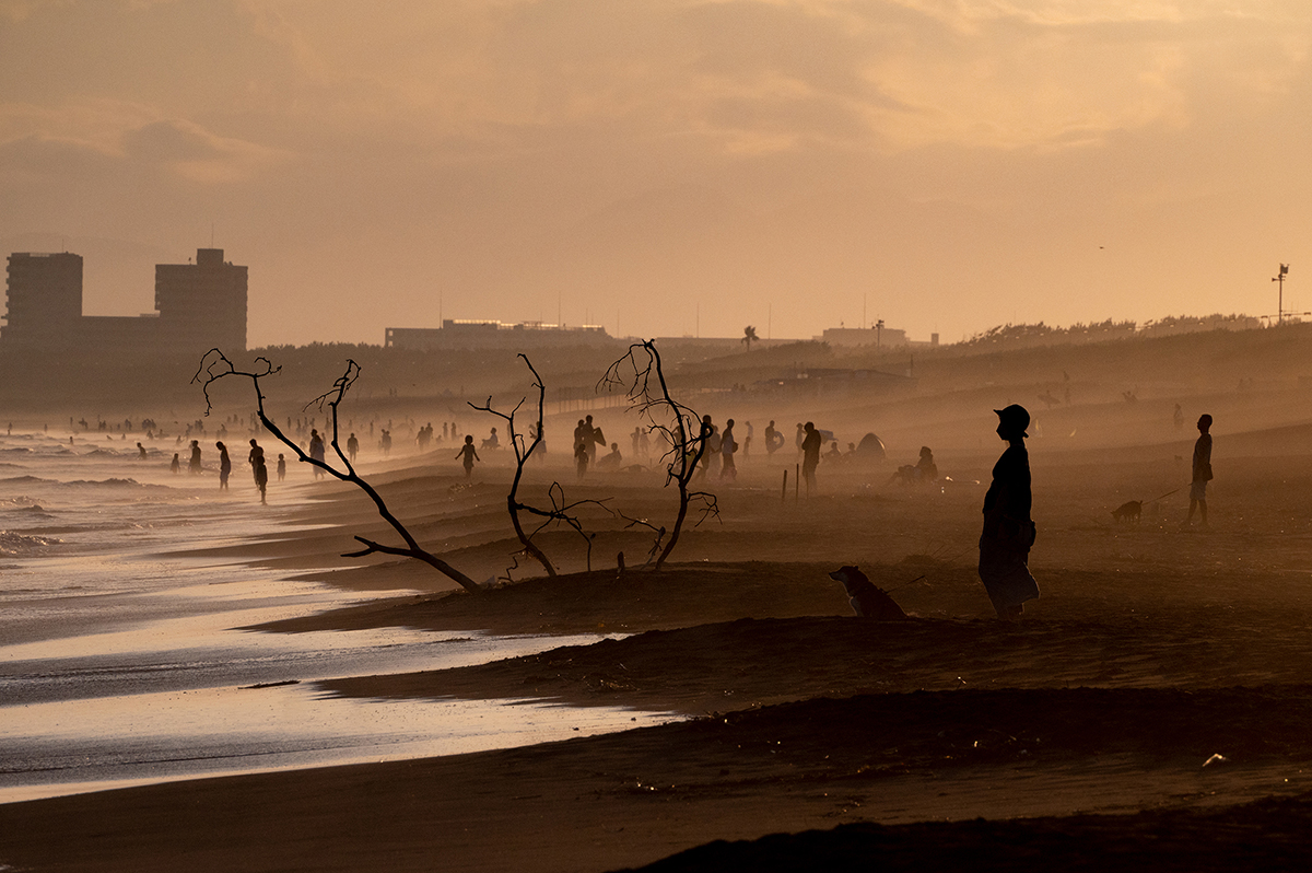 <p>Focale : 300mm Exposition : F/14 1/6400sec ISO 2500</p>