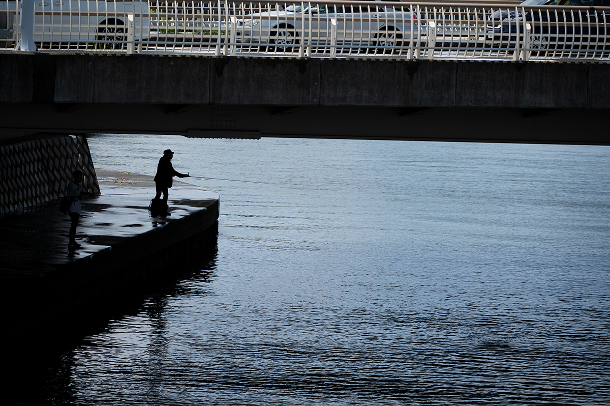 <p>Longueur focale : 133mm Exposition : F/5.0 1/1000sec ISO 100</p>