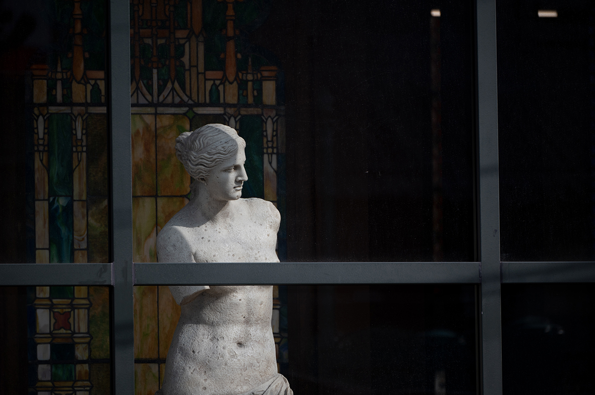 <p>Focale : 300mm Exposition : F/6.3 1/1250sec ISO 320</p>