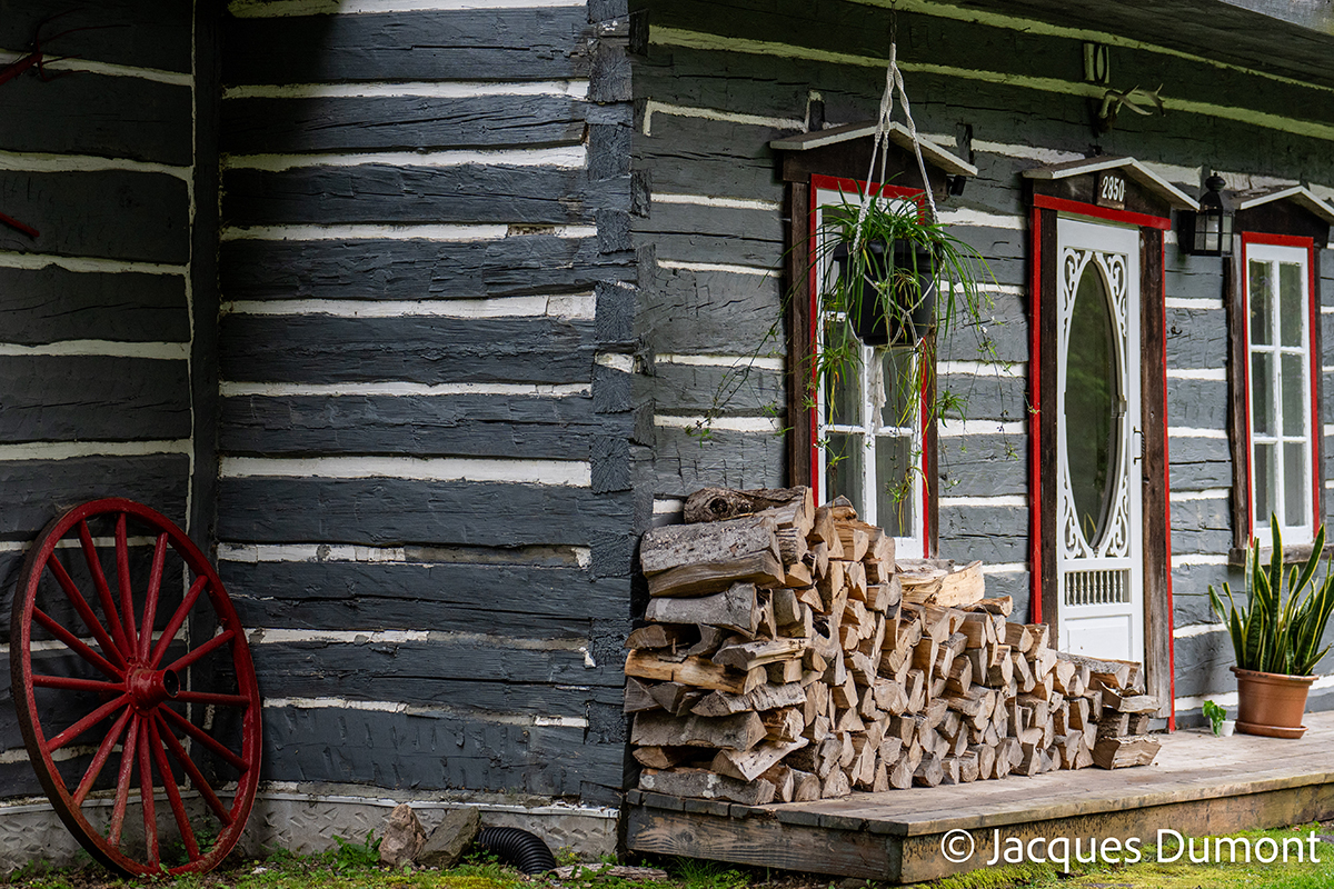 <p>Focal length : 76mm Exposure : F/2.8, 1/320 sec, ISO 640<br />
Camera : Nikon Z 8</p>
