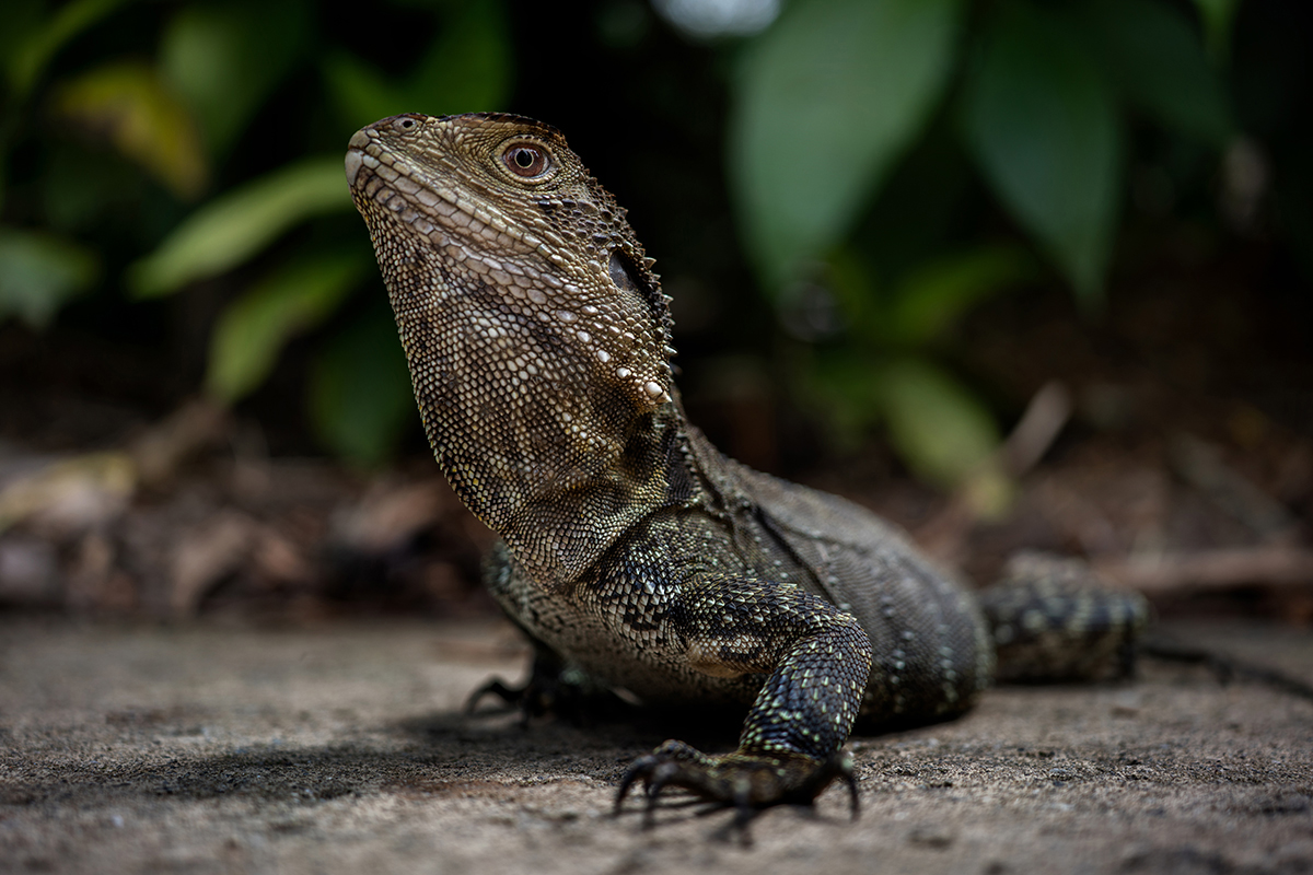 <p>Focal length : 35mm Exposure :F/2.8 1/400 sec ISO 200</p>
