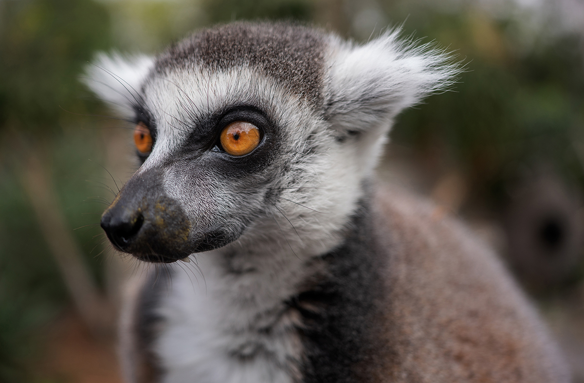 <p>Focal length : 35mm Exposure :F/2.8 1/800 sec ISO 200</p>
